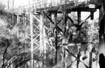 Darradup Bridge - Date of construction 1899