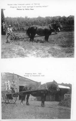 Two Rural scenes Loveland property Nannup
