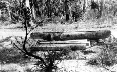 Log Trough for water at the 40 mile on the Brockman Highway