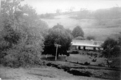 Old House "Heppingstone Estate" Cundinup 1948