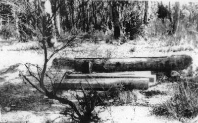 Log Trough for water - At the 40 mile on the Brockman Highway