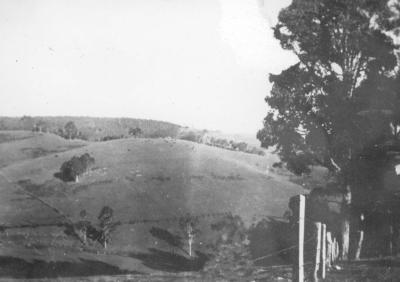 Mount Folly