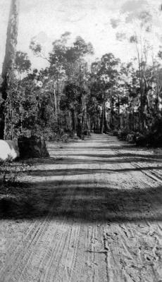 Road on East Nannup Road - leading to Colin Mowday's Farm