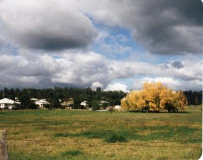 Looking towards Nannup town from Higgin's Swamp