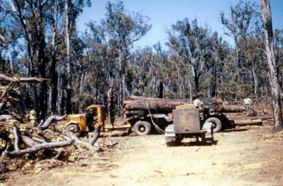Loading logs onto truck at Jarrahwood to be taken to mill (taken off old slide of Jarrahwood Mill).