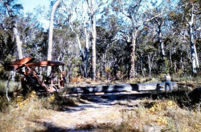 Preparing logs for Jarrahwood Mill (taken off old slide of Jarrahwood Mill).
