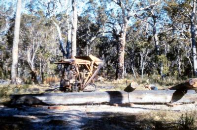 Preparing logs for Jarrahwood Mill (taken off old slide of Jarrahwood Mill).