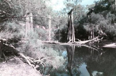 Old railway bridge south of Nannup