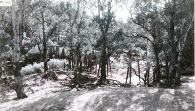Old railway bridge south of Nannup