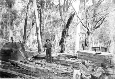 Sleeper cutting South West WA
