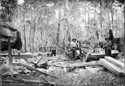 Pietro Plozza (on extreme right) with his sleepers South West WA
