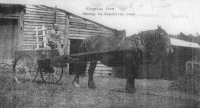 "Bingalup Farm". 1951 Nannup to Busselton Road. Ernest John Loveland. on horse drawn buggy.