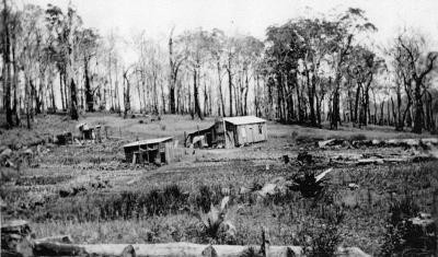 Old Dwellings C.1930's  East Nannup Settlement Houses.