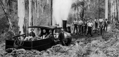 Locomotive bringing logs into Mill. East Nannup line. Mr. Harbeck Snr. On right in cab C.1910-1912