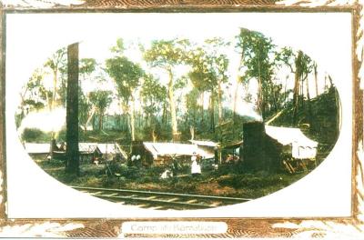 Camp Life - Barrabup