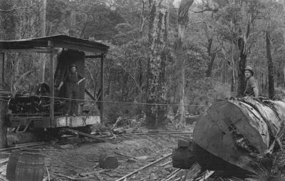 Steam Winch
