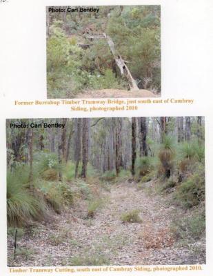 Former Barrabup Timber Tramway Bridge and Tramway Cutting, South East of Cambray Siding. Taken 2010
