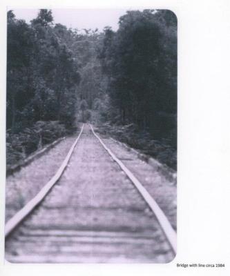 Bridge #8, over St John's Brook, with line still intact. Circa 1984