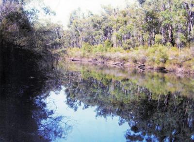 Cambray Main Pool