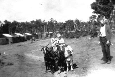 Children on Goat Cart - Mill huts in background (Man is Clarrie Bull)