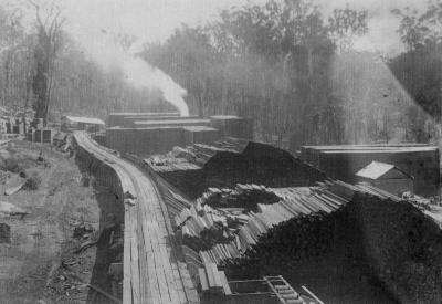 Kauri Timber Co. Mill Yard at Ellis Creek C.1922.