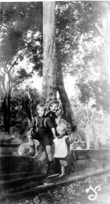 1928-29 Harry Skinner (left) George Sobott & baby Bob Sobott at Ellis Creek Timber Yard. 1928/1929  Note: Johann Sobott's monogramme at bottom right hand corner of photo.