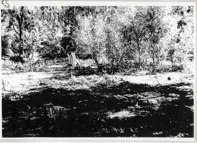 Old cricket pitch at Ellis Creek - made from Jarrah timber sleepers