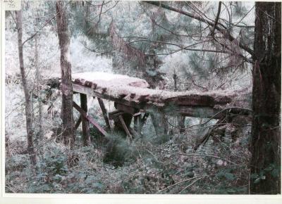 Old Ellis Creek railway bridge over Nannup Brook 2016