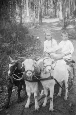 1923 Goat Cart - Bull Children Pansy (Pamela) Walter & Alfred