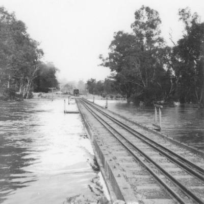 Old Railway Bridge in flood