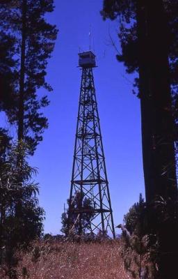 Millward Tower 1990  Millward Tower June 2017  -33.915139, 115.792861