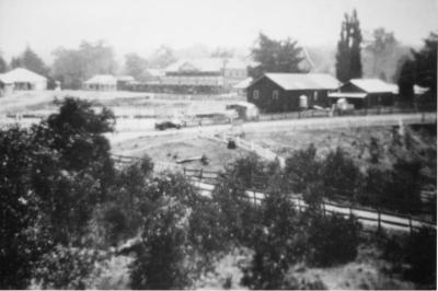 View of Nannup from Jack Whittle's house 1936