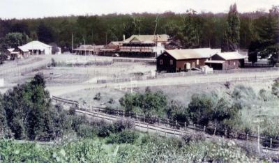 View of Nannup from Balingup Road, with Nannup Hotel.