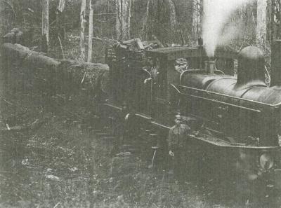 "Blackwood" engine at Barrabup 