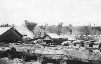 Barrabup Mill 1915