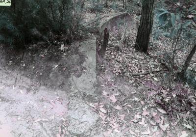Cambray siding turntable remains. 8/04/2018
