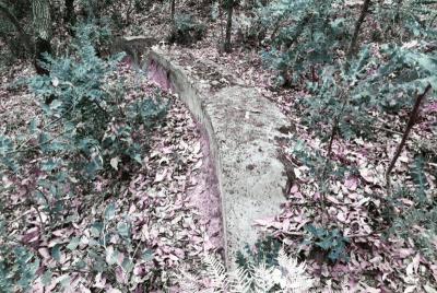 Cambray siding turntable remains. 8/04/2018