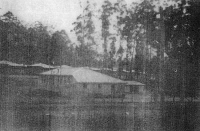 Donnelly River School 
