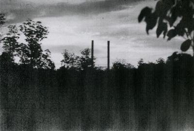  Two of the steel chimney stacks Donnelly Rive Saw Mill. C 1980