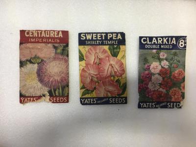 Set of three seed packets