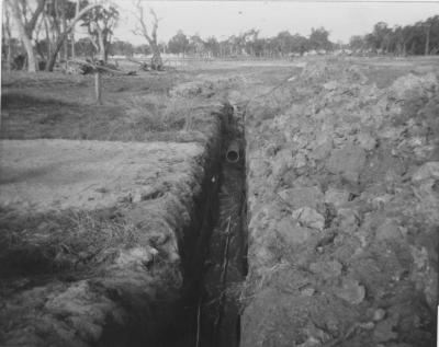 WISALTS Trial Site at Property of JW (Jim) Erskine, Denbarker, Western Australia, Australia - 032