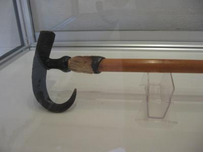 WALKING STICK WITH GOAT HORN & HOOF HANDLE