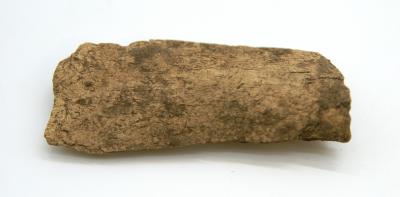 WEST TOODYAY ARCHAEOLOGICAL COLLECTION - BONE