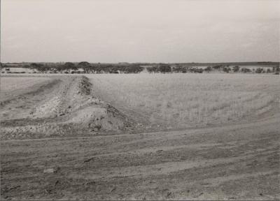 Property of BP (Ben) and WF Davey, Nyunda Pty Ltd, Wongan Hills, Western Australia, Australia - 002