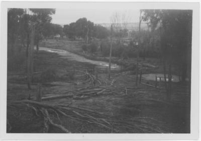 Property of HS (Harry) Whittington, 'Springhill', Brookton, Western Australia, Australia - 088