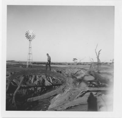 Property of HS (Harry) Whittington, 'Springhill', Brookton, Western Australia, Australia - 082