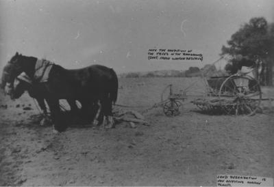 Property of HS (Harry) Whittington, 'Springhill', Brookton, Western Australia, Australia - 100