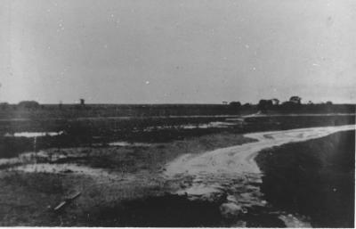 Property of HS (Harry) Whittington, 'Springhill', Brookton, Western Australia, Australia - 101