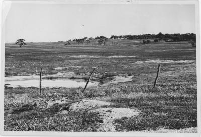 Property of HS (Harry) Whittington, 'Springhill', Brookton, Western Australia, Australia - 103