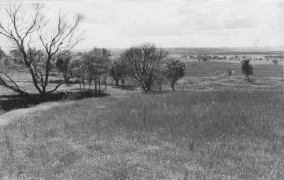 Property of HS (Harry) Whittington, 'Springhill', Brookton, Western Australia, Australia - 105